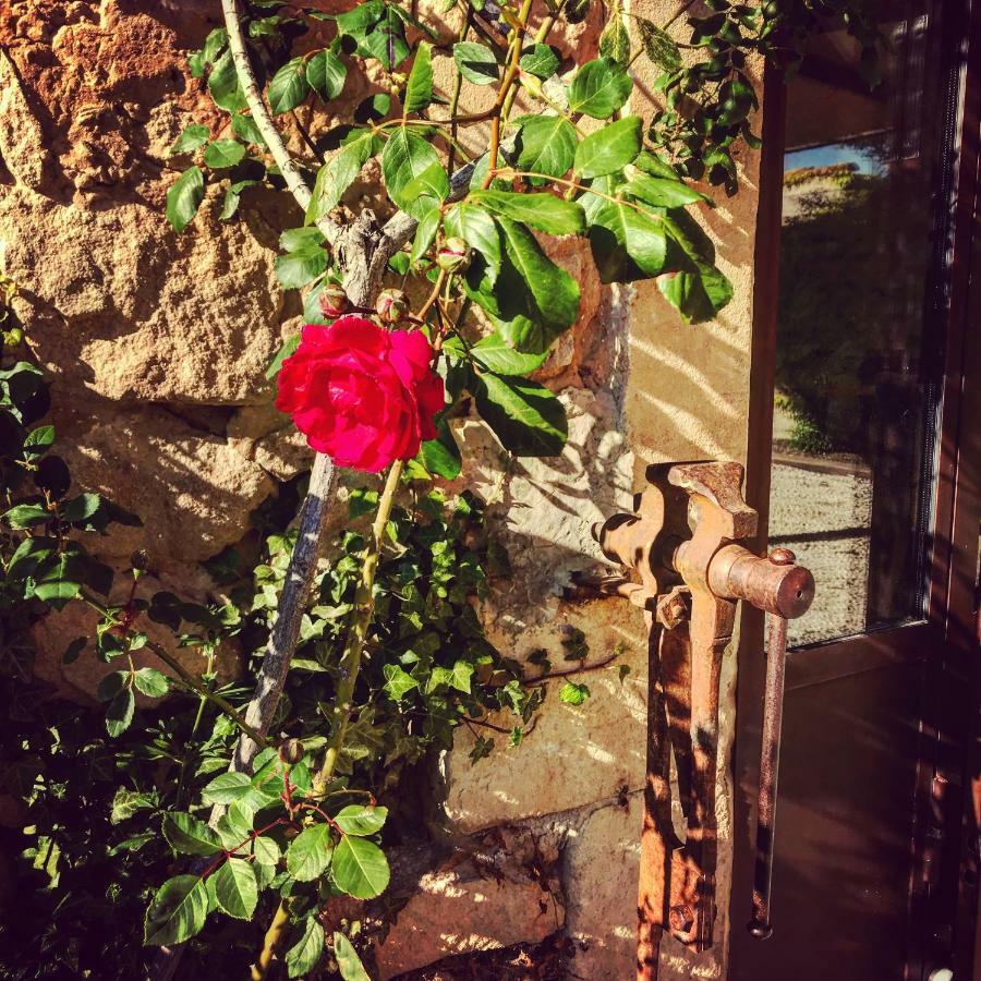 Le Clos D'Olea Oppède Buitenkant foto